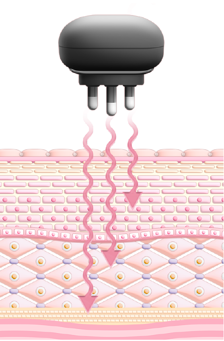detail02_02.png